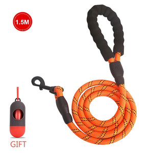 Pet Leash Reflective Strong Dog Leash VelnoraUSA
