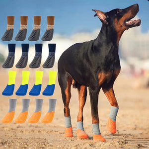 Dog Boots Set