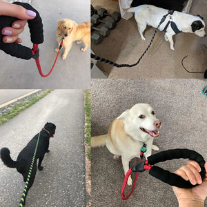 Pet Leash Reflective Strong Dog Leash VelnoraUSA