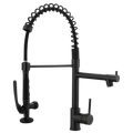 Pull Down Kitchen Faucet