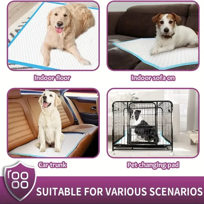 Xxl Disposable Dog Training Pads