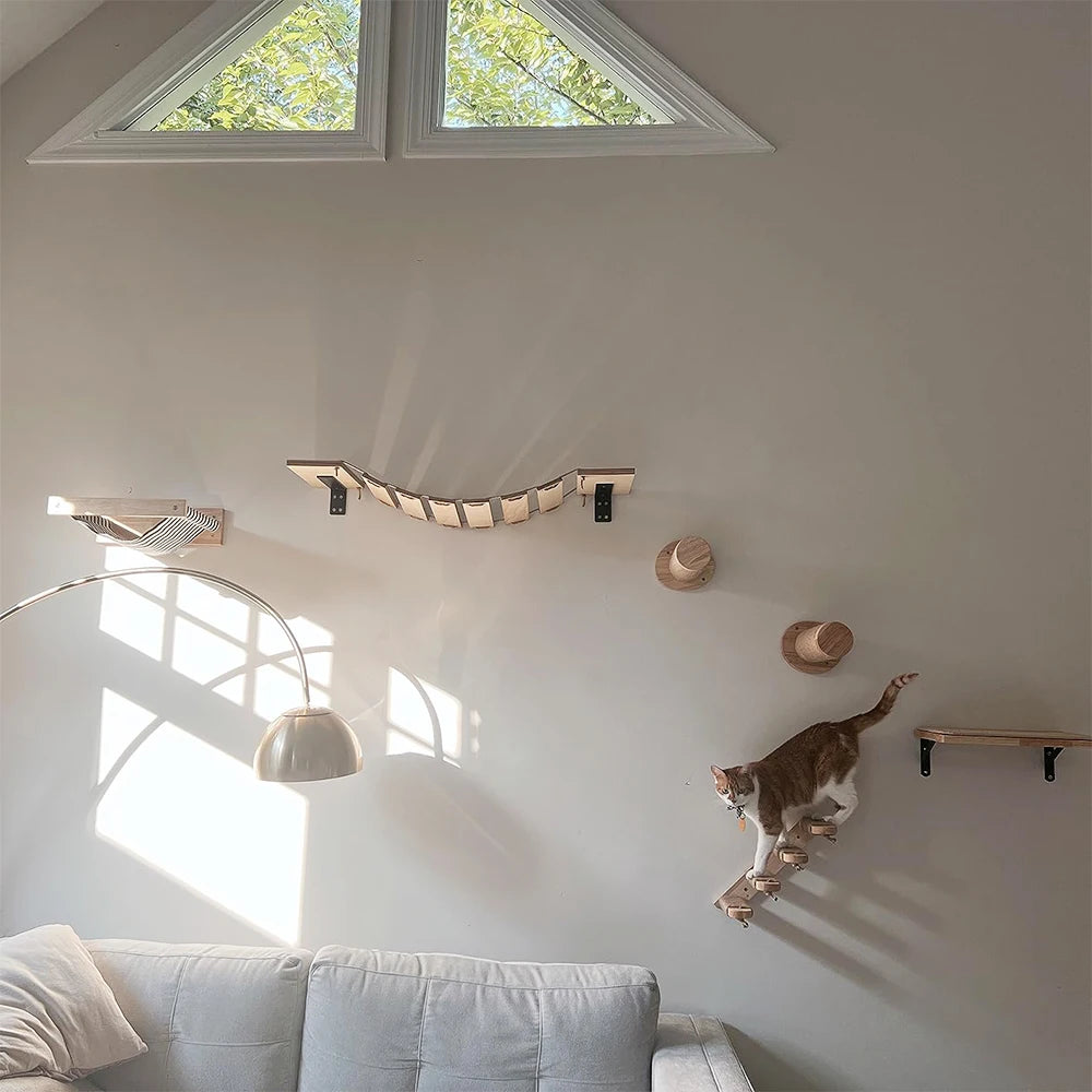 Cat Climbing Shelf Wall Mounted Four VelnoraUSA