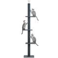 Adjustable Height Cat Tree
