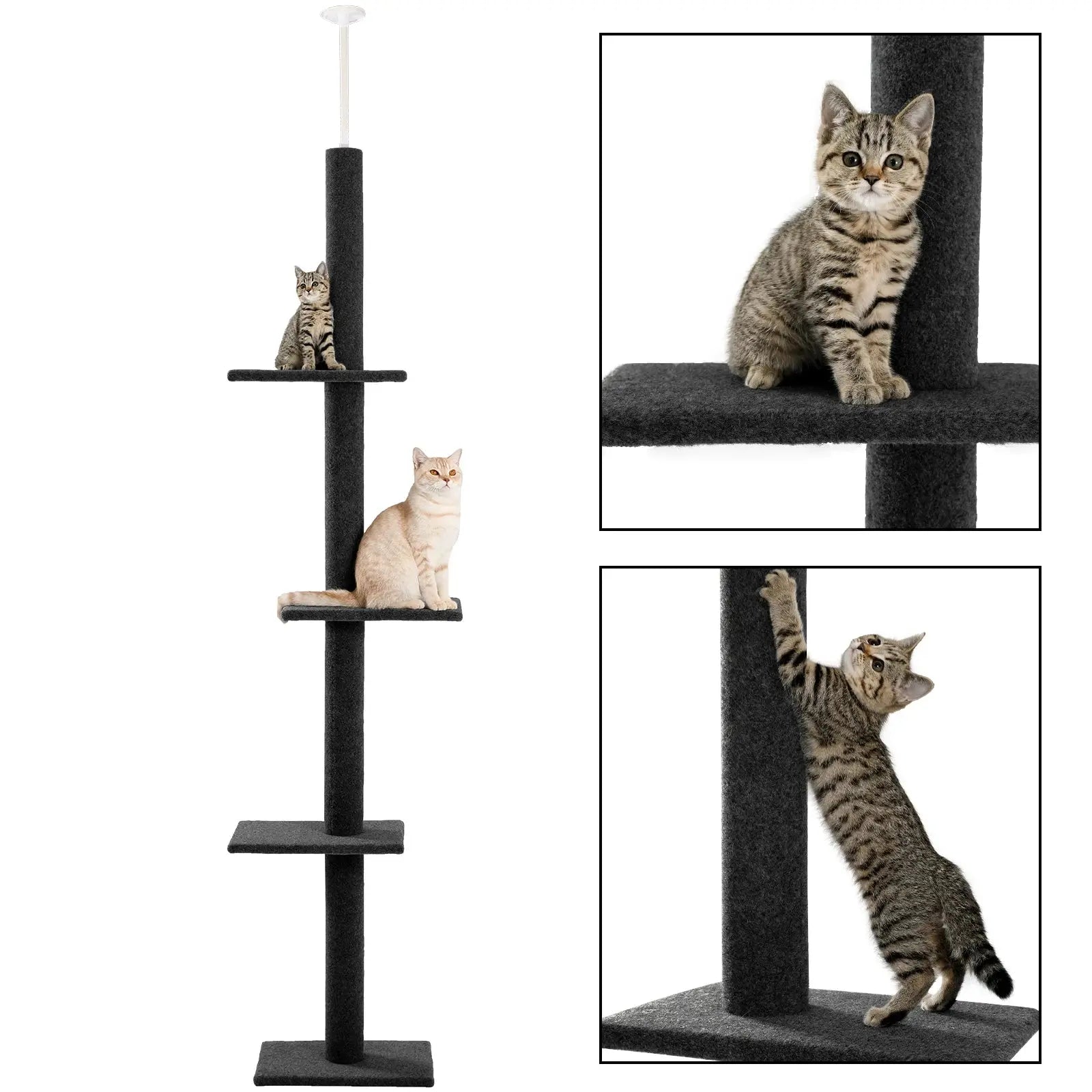 Adjustable Height Cat Tree Indoor Floor VelnoraUSA