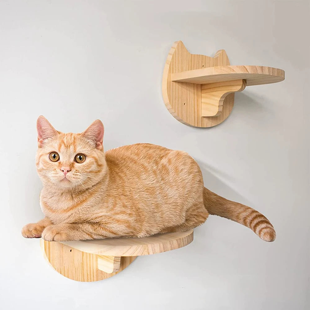 Cat Climbing Shelf Wall Mounted Four VelnoraUSA