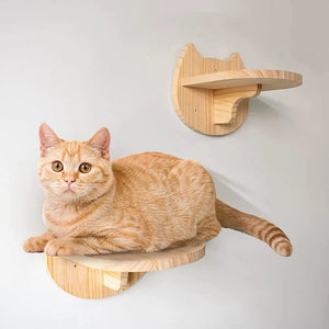 Cat Climbing Shelf Wall Mounted Four VelnoraUSA