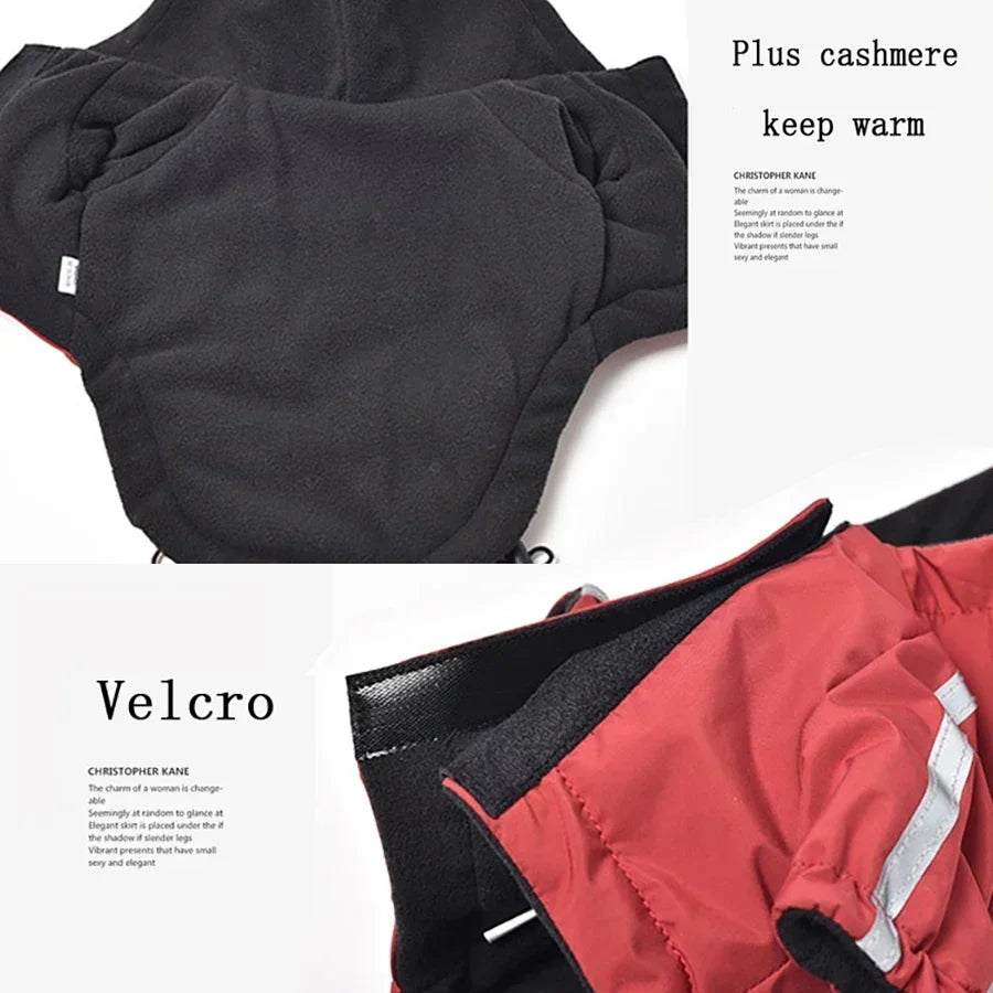 Reflective Pet Clothes Autumn Winter Pet VelnoraUSA