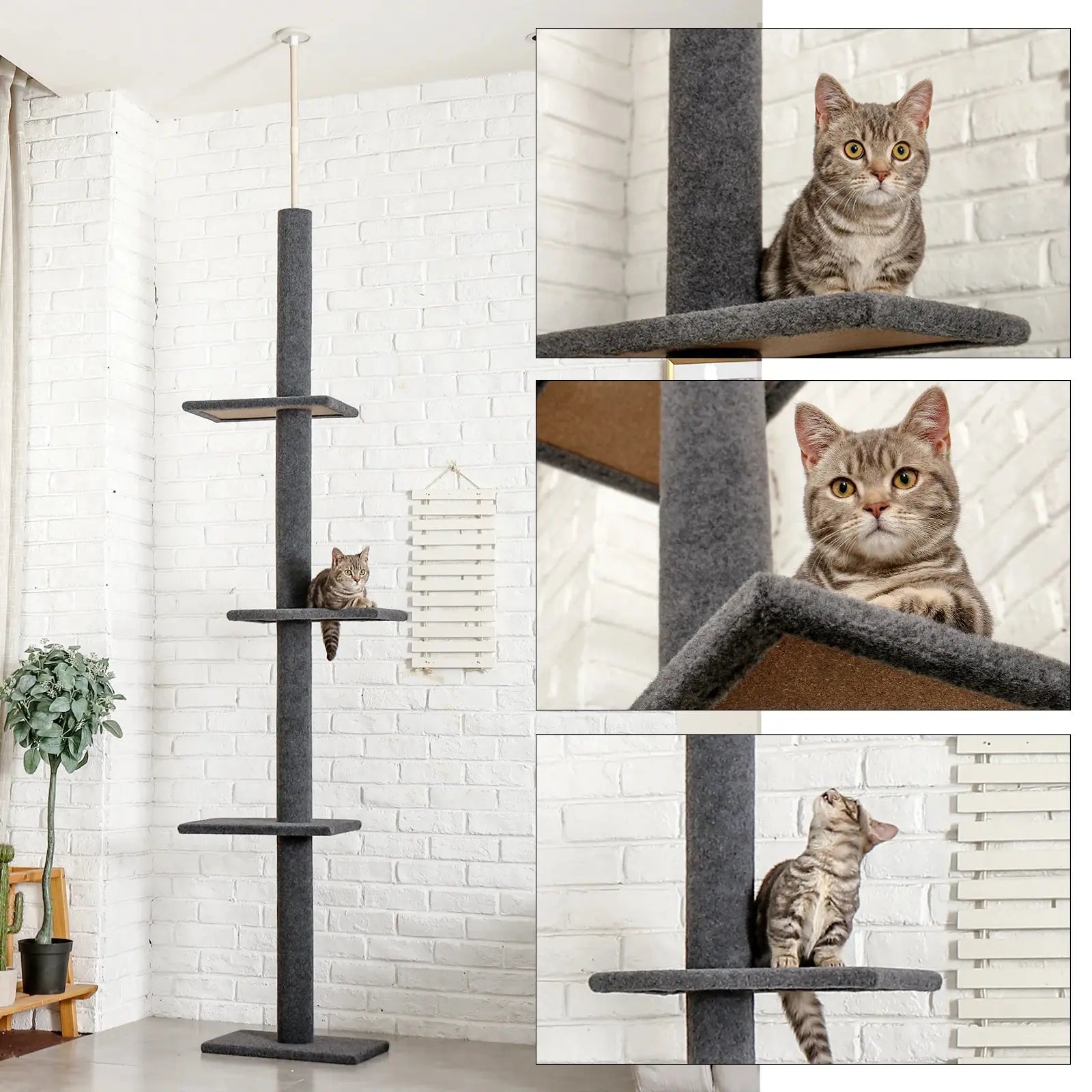 Adjustable Height Cat Tree Indoor Floor VelnoraUSA