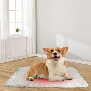 Self-Warming Cat Bed Pad Self-Heating Thermal VelnoraUSA