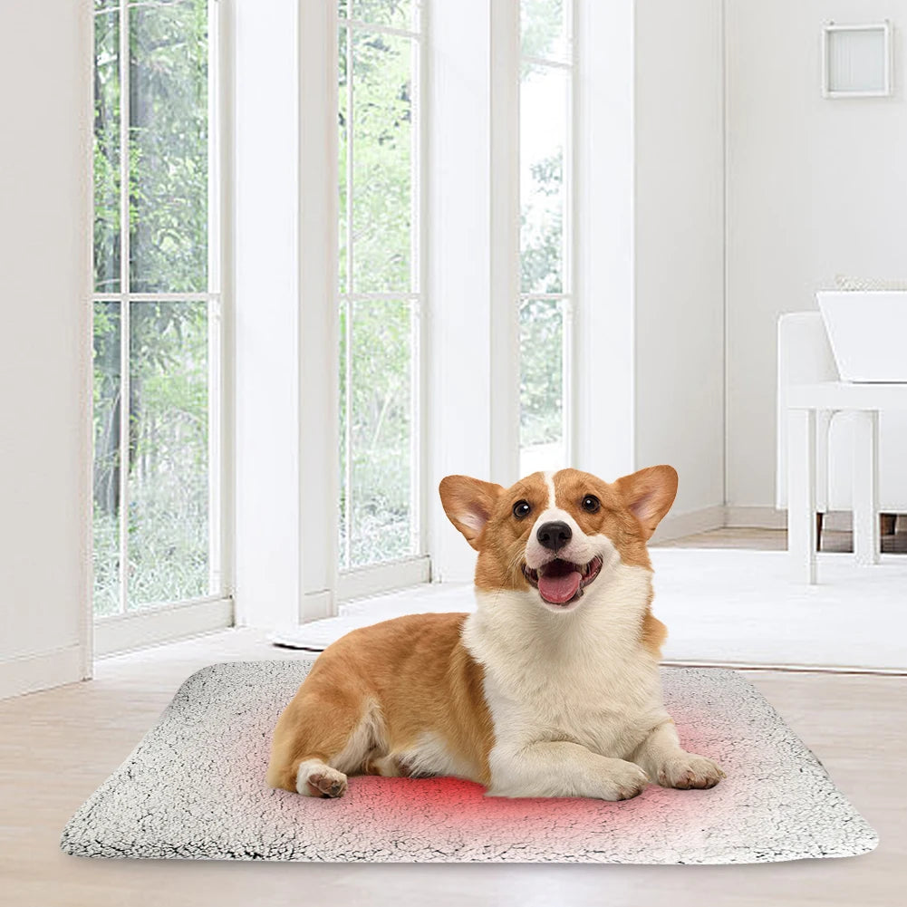 Self-Warming Cat Bed Pad Self-Heating Thermal VelnoraUSA