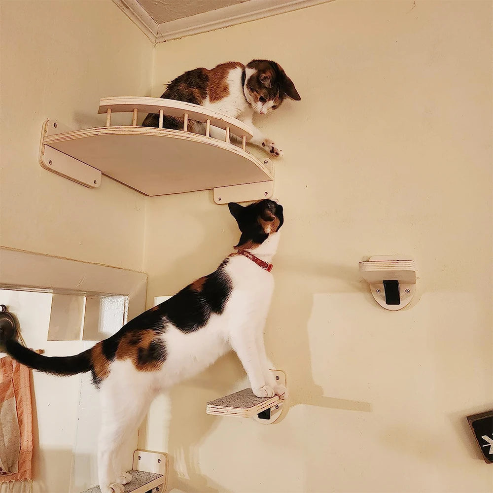 Cat Climbing Shelf Wall Mounted Four VelnoraUSA