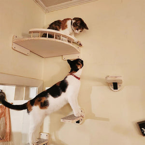 Cat Climbing Shelf Wall Mounted Four VelnoraUSA