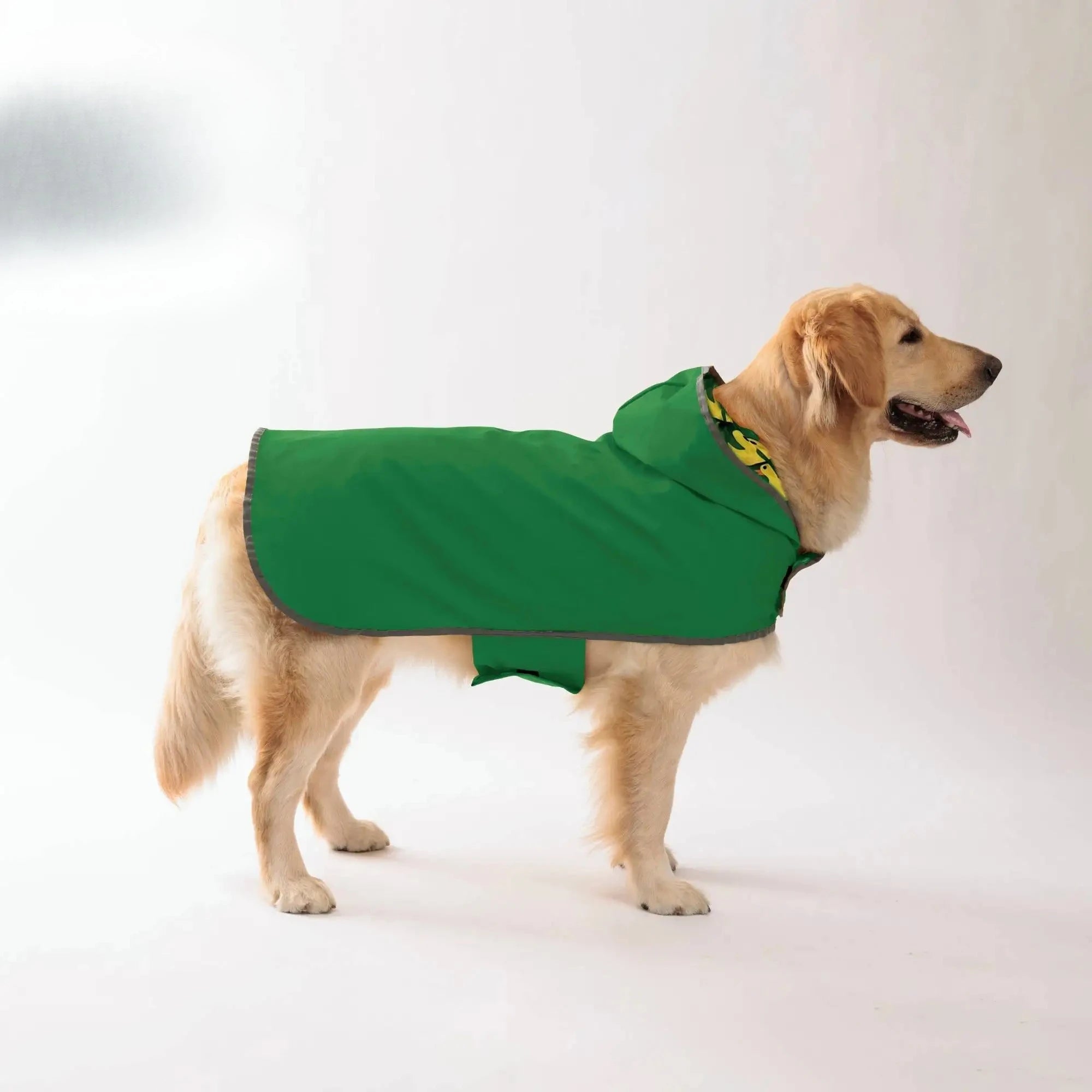 Yellow Dog Raincoat